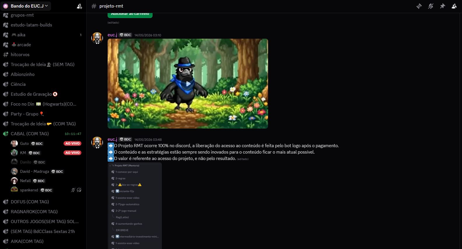 Interface do Discord Bando de Corvos